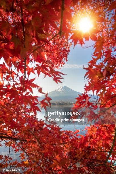 panorama view of colorful autumn season and mountain fuji with morning fog and red leaves at lake kawaguchiko is one of the best places in japan - mt fuji stock pictures, royalty-free photos & images