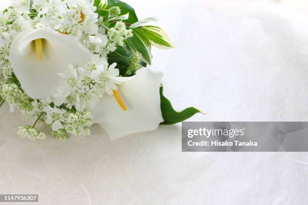 bouquet of white flowers - flor alcatraz y fondo blanco fotografías e imágenes de stock