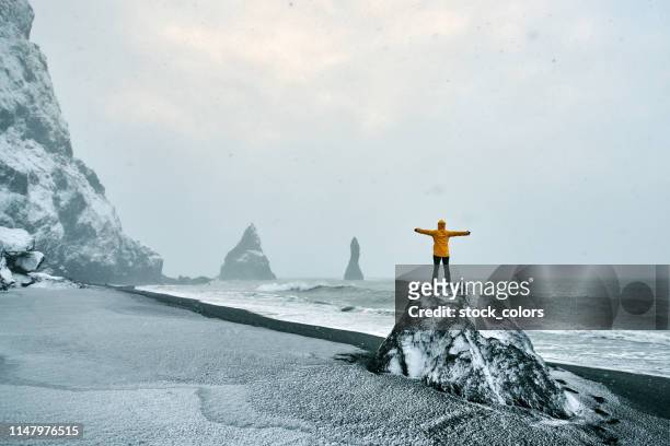 lovely view in iceland - black sand iceland stock pictures, royalty-free photos & images