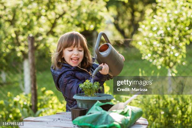 cute little girl watering flowers - watering can stock pictures, royalty-free photos & images