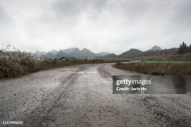 country road in south china. - wet road stock pictures, royalty-free photos & images