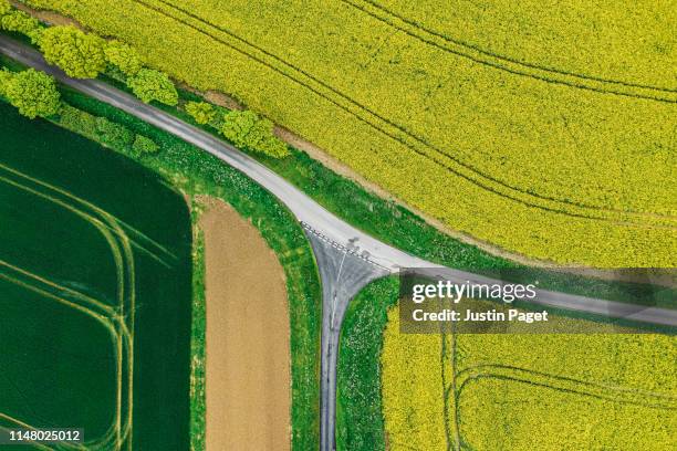 road junction through agricultural fields - colza foto e immagini stock