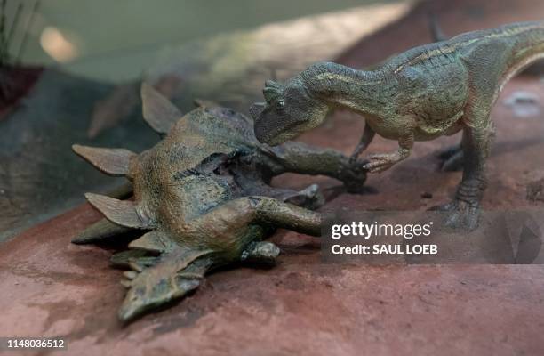 Diorama featuring dinosaurs is seen in the National Fossil Hall, featuring around 700 fossil specimens that track the history of life on the planet...