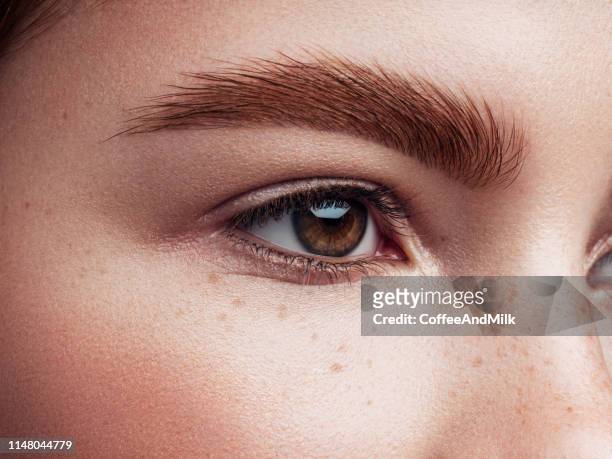 beautiful woman - eyebrow stock pictures, royalty-free photos & images