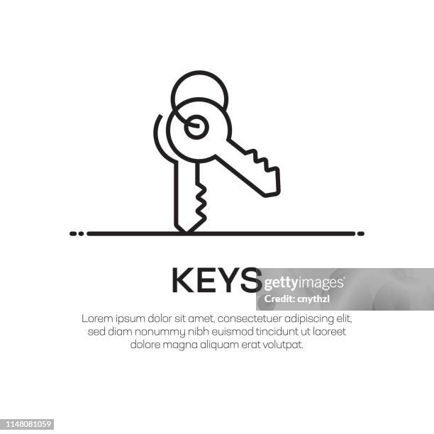keys vector line icon - simple thin line icon, premium quality design element - square button stock illustrations