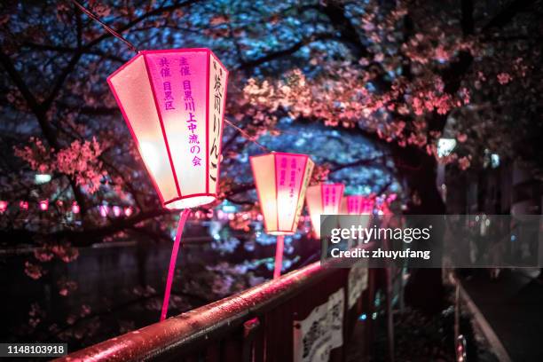 cherry blossom seizoen in tokio op meguro river - lantern festival cherry blossom stockfoto's en -beelden