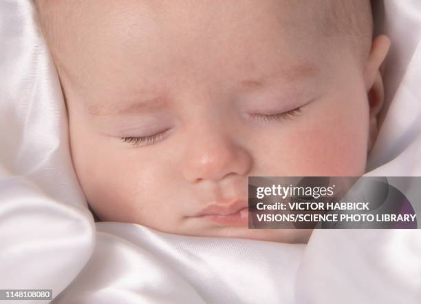 sleeping baby boy - week seven stock pictures, royalty-free photos & images