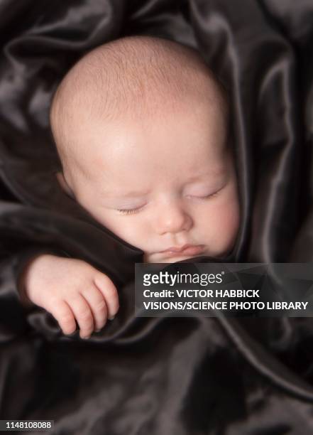 sleeping baby boy - week seven stock pictures, royalty-free photos & images