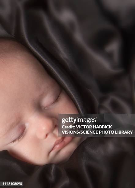 sleeping baby boy - week seven stock pictures, royalty-free photos & images