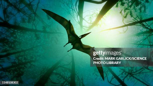 pteranodon flying through a forest, illustration - pterosaur stock illustrations