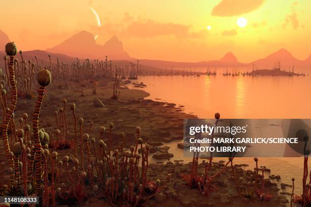 ilustrações, clipart, desenhos animados e ícones de alien plants on an exoplanet, illustration - extrasolar planet