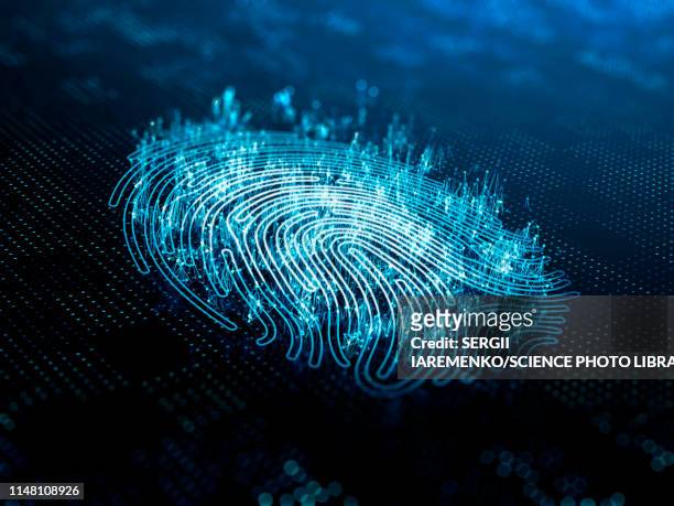 digital fingerprint, illustration - biometrics stock illustrations