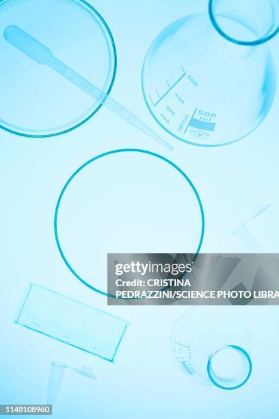 assortment of laboratory glassware - petri dish stock-fotos und bilder