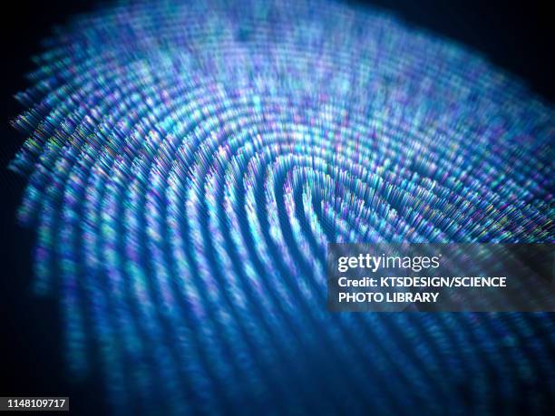 biometric authentication, illustration - finger print stock pictures, royalty-free photos & images