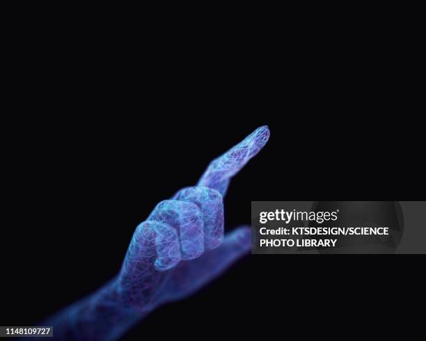 humanoid hand, illustration - hologram technology stock pictures, royalty-free photos & images