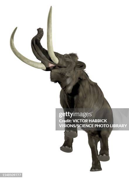 woolly mammoth, illustration - woolly mammoth stock illustrations