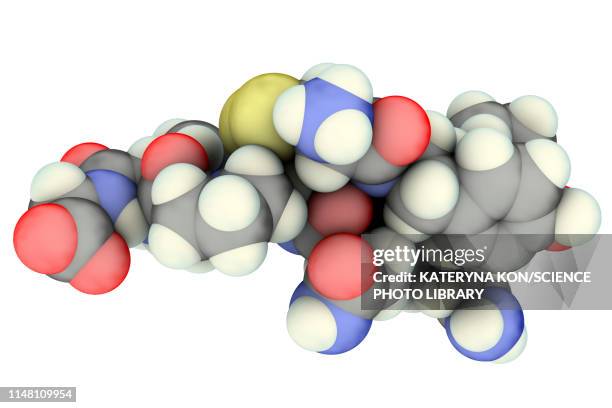 oxytocin hormone, molecular model - oxytocin stock illustrations