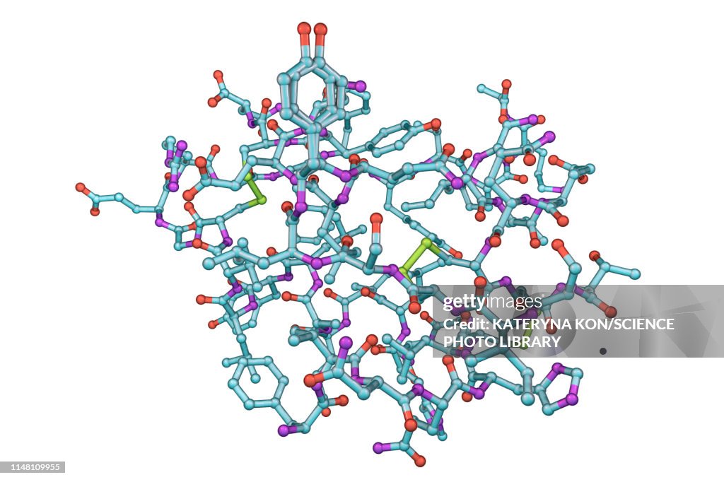 Insulin hormone molecule, illustration
