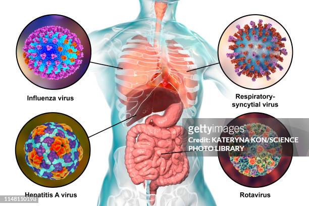 viral respiratory and enteric infections, illustration - hepatitis virus stock illustrations
