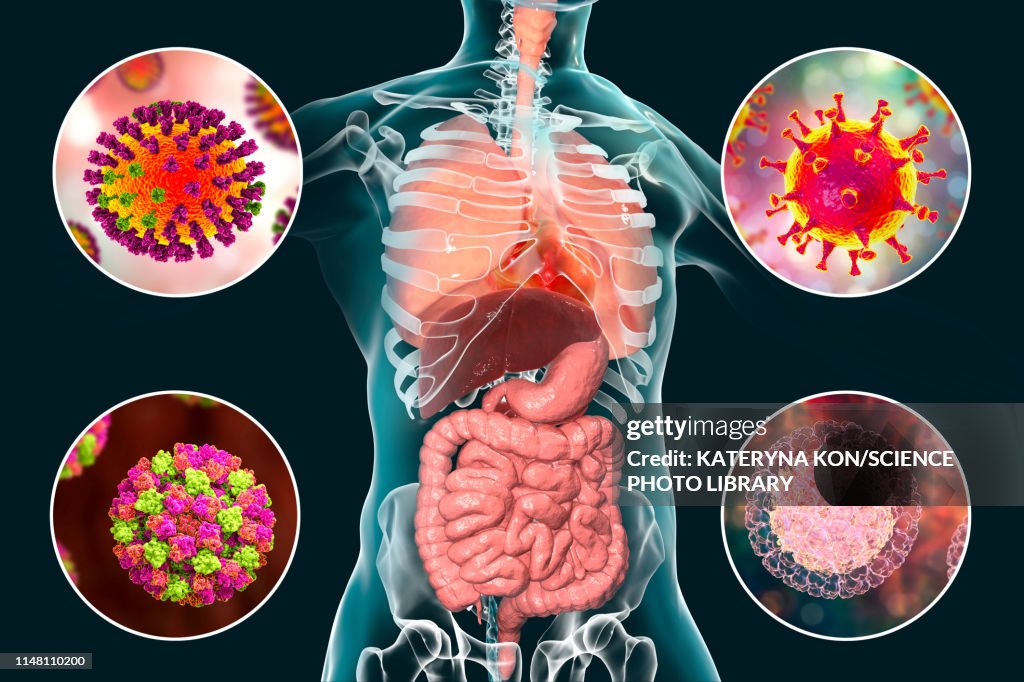 Viral respiratory and enteric infections, illustration