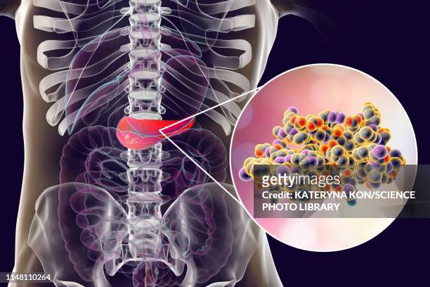 human pancreas and insulin molecule, illustration - insulin stock illustrations
