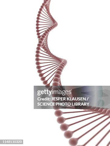 DNA, illustration DNA, illustration