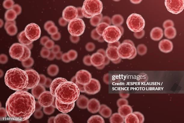 cancer cells, illustration - oncology stock illustrations