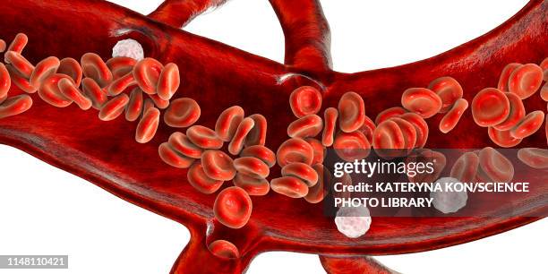 illustrazioni stock, clip art, cartoni animati e icone di tendenza di cross-section of a blood vessel, illustration - flusso sanguigno sangue umano