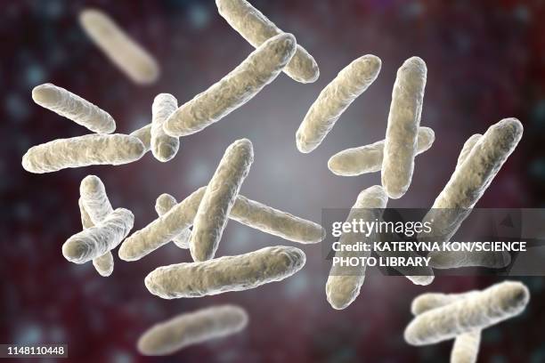 probiotic bacteria, illustration - lactobacillus stock-grafiken, -clipart, -cartoons und -symbole