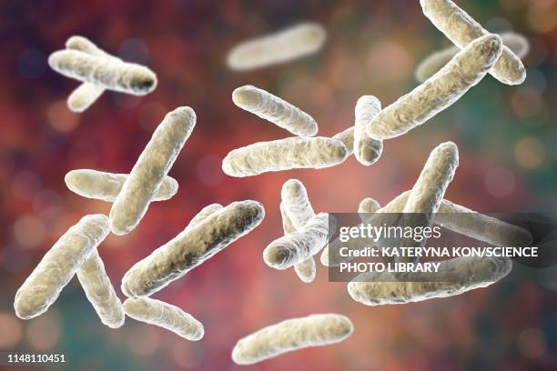 Microflora Examples Intestinal Microflora