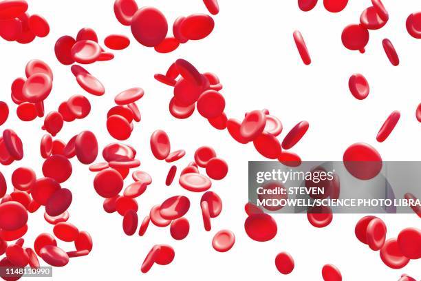ilustraciones, imágenes clip art, dibujos animados e iconos de stock de red blood cells, illustration - globulos rojos humanos