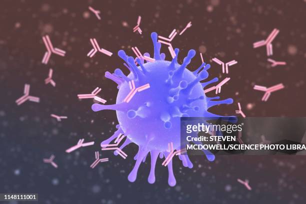 bildbanksillustrationer, clip art samt tecknat material och ikoner med antibodies attacking virus, illustration - antibody