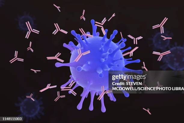 ilustraciones, imágenes clip art, dibujos animados e iconos de stock de antibodies attacking virus, illustration - anticuerpo