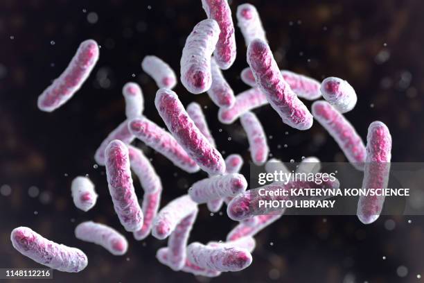 bacteria, illustration - salmonella bacteria stock-grafiken, -clipart, -cartoons und -symbole