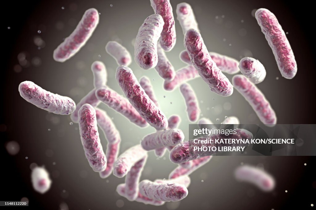 Bacteria, illustration