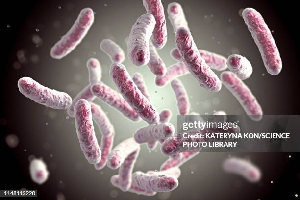 bacteria, illustration - klebsiella stock illustrations