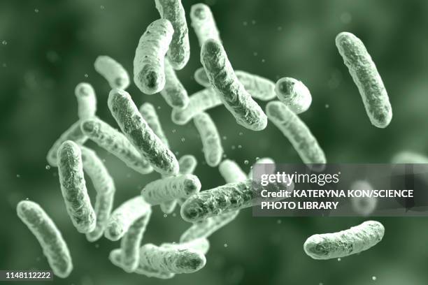 bacteria, illustration - salmonellen stock-grafiken, -clipart, -cartoons und -symbole