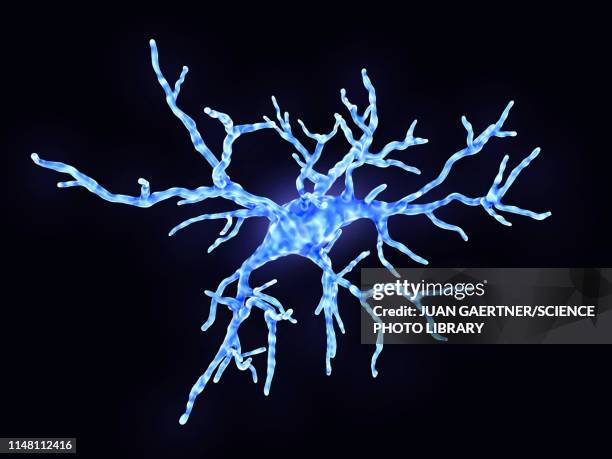 microglial cell, illustration - neuroscience stock illustrations