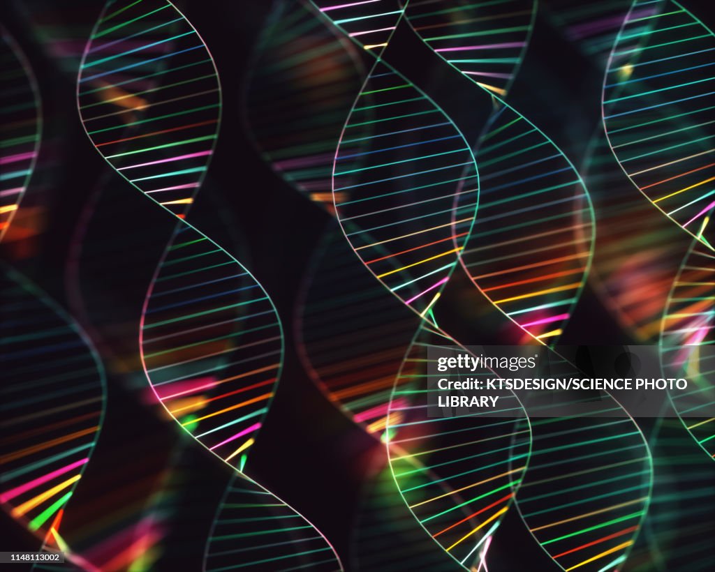 DNA molecules, illustration