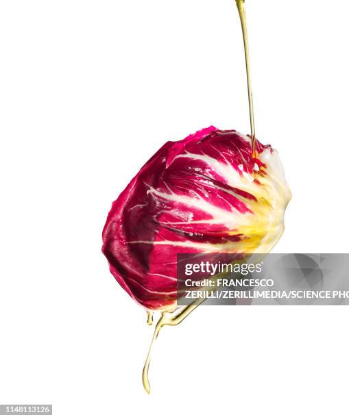 oil pouring on radicchio leaf - radicchio stockfoto's en -beelden