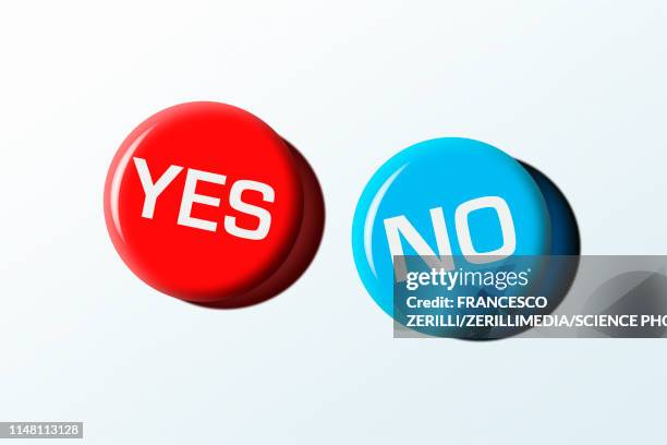 illustrazioni stock, clip art, cartoni animati e icone di tendenza di yes and no badges, illustration - yes