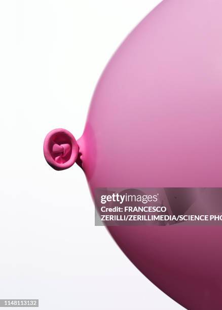 breast, conceptual image - seno fotografías e imágenes de stock