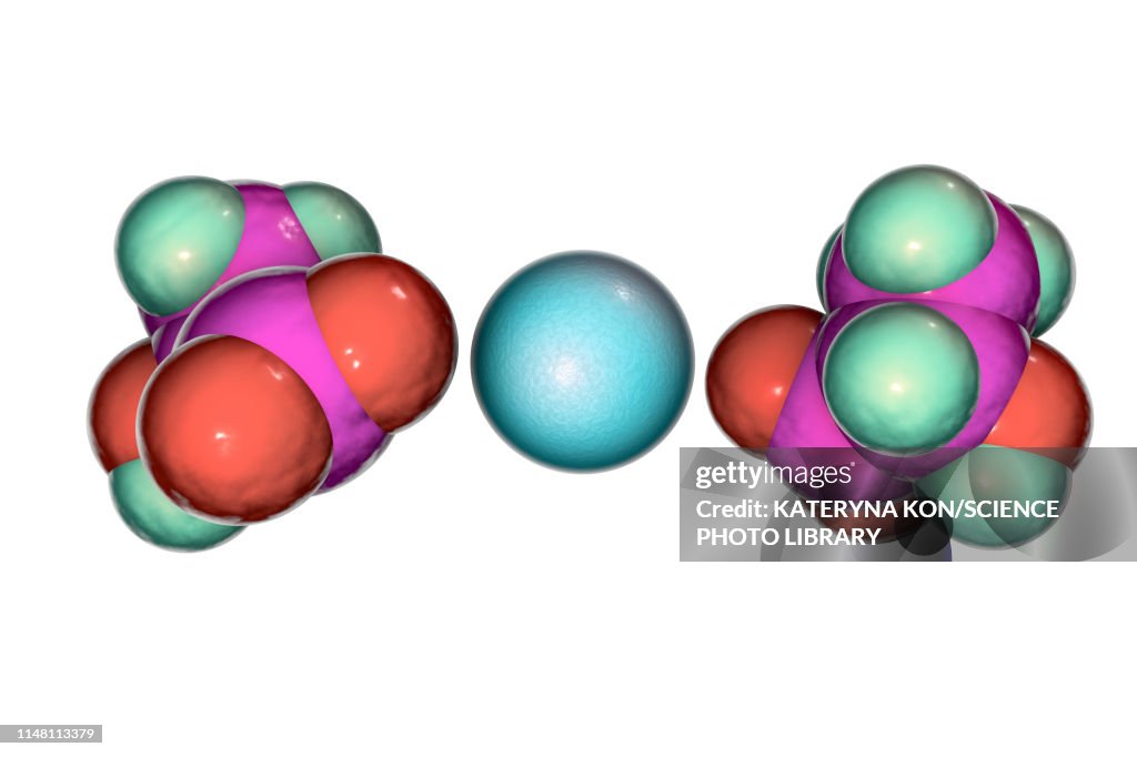 Calcium lactate, molecular model