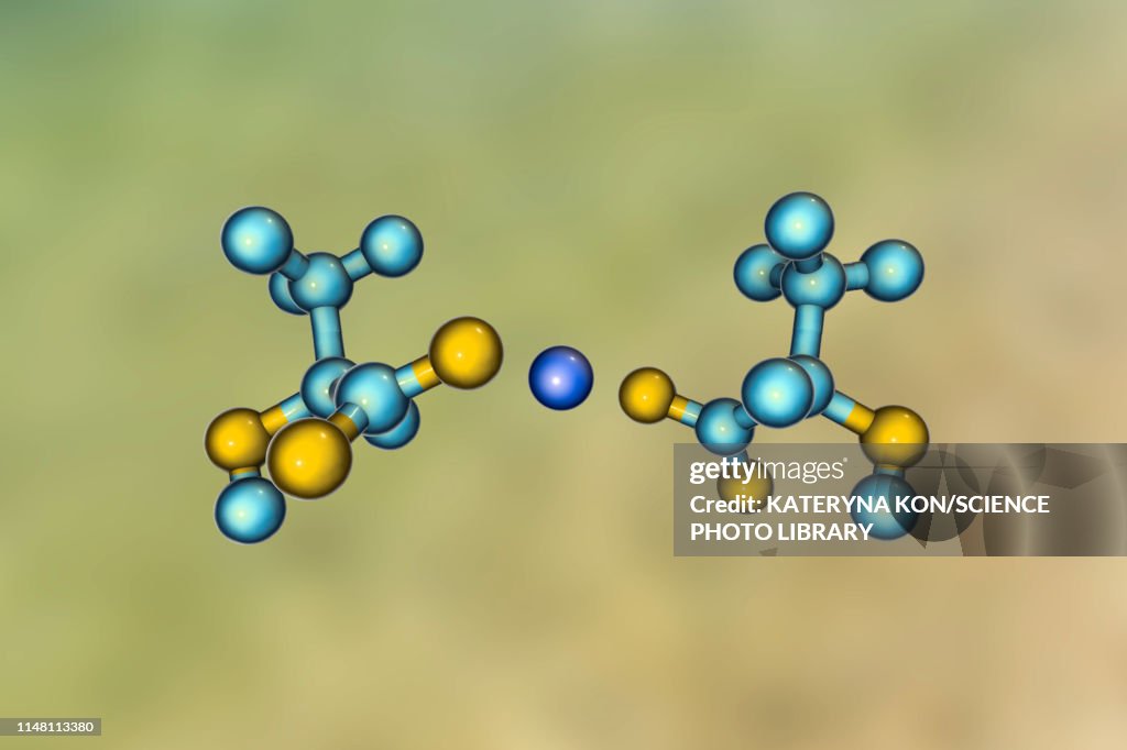 Calcium lactate, molecular model
