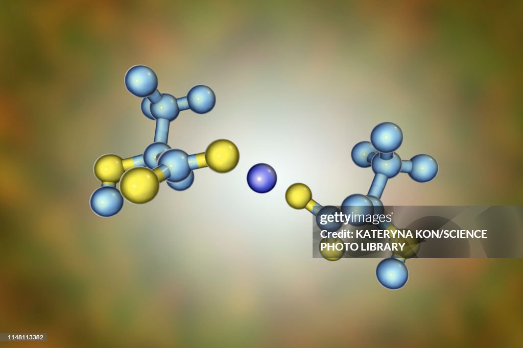 Calcium lactate, molecular model
