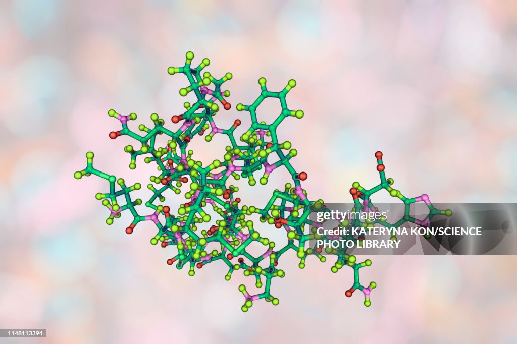 Molecule of scorpion chlorotoxin