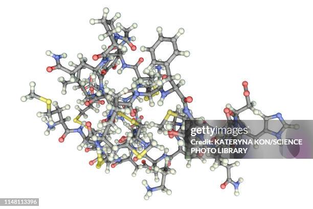 Molecule Of Scorpion Chlorotoxin High-Res Vector Graphic