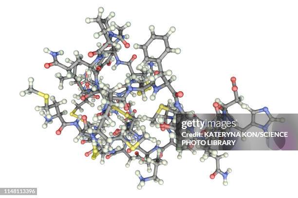 molecule of scorpion chlorotoxin - deathstalker stock illustrations