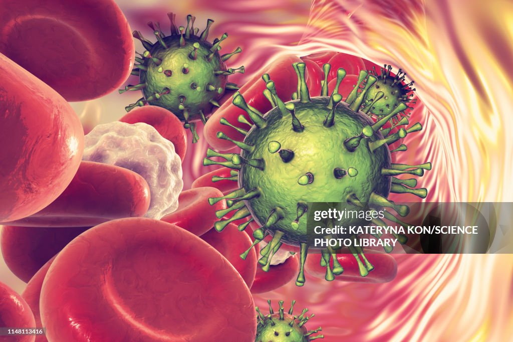 Human cytomegaloviruses in blood, illustration