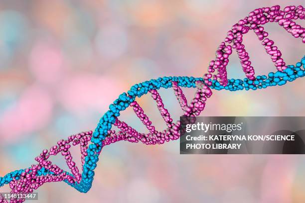 dna molecule, illustration - molecule model stock illustrations